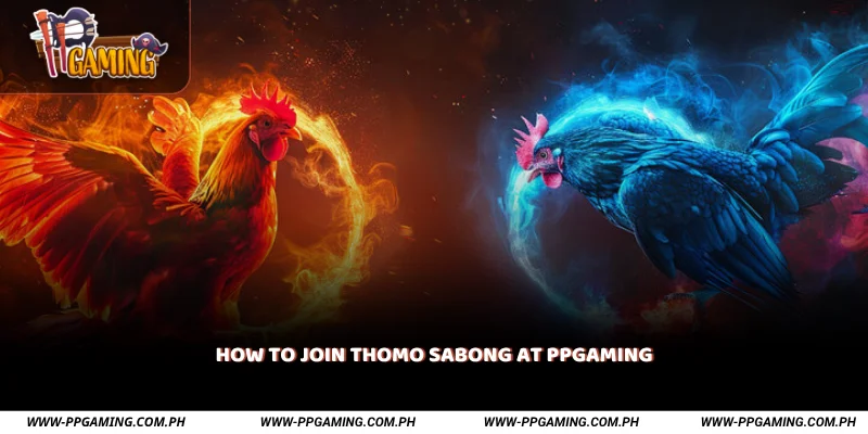 How to Join Thomo Sabong at PPGAMING